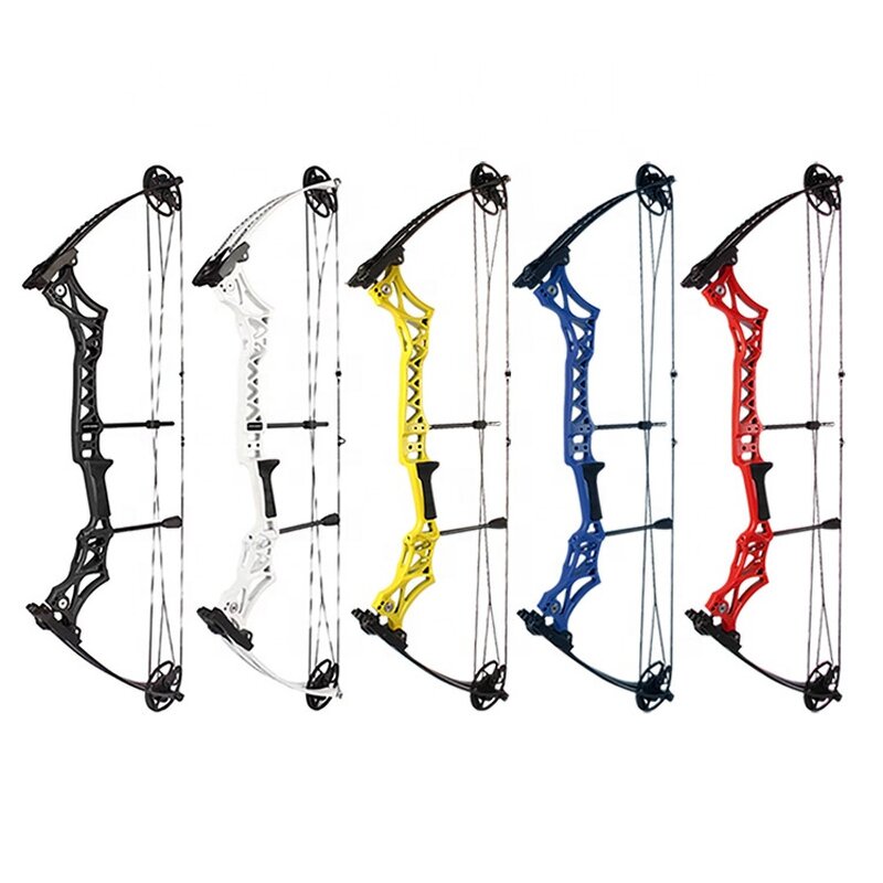 Hunting Compound Bow Factory - 55lbs Alloy Adjustable Adult Outdoor Archery