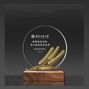 Crystal Trophy Supplier - OEM New Designs Custom Glass with Wooden