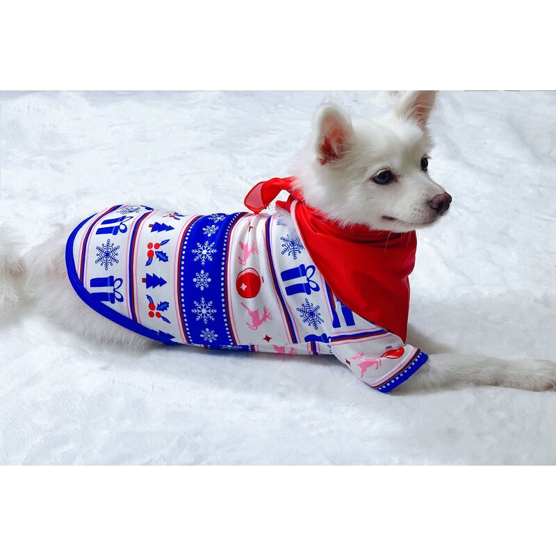 Christmas Pajamas Factory - OEM 2024 Stock Wholesale Blue Xmas Set