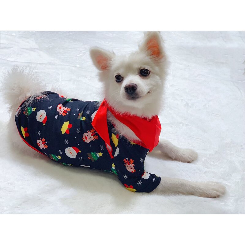 Family Pyjamas Manufacturer - OEM High Quality Matching XMAS New Year