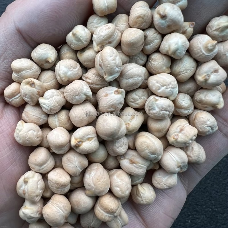 Factory Directly Sale Newest Crop TOP Quality Raw Chickpeas Different Size 7mm -12mm for Snacks  Dried Chickpeas