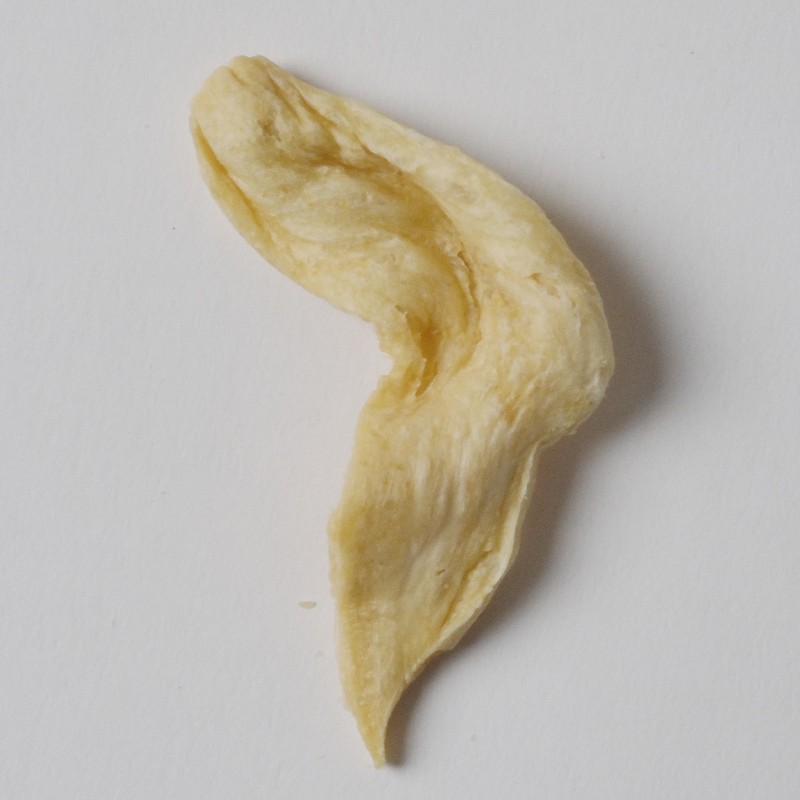 Vegetarian Dried Soy Bean Curd wings Shaped