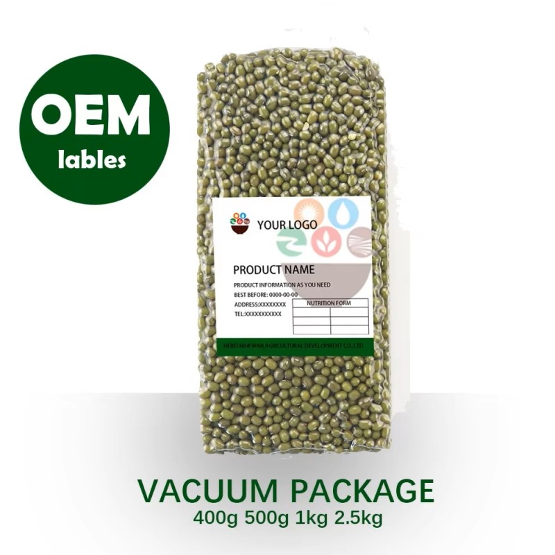 Wholesale 100% Natural Green Mung Beans Vigna Beans Dried Products From China Buyers in Bulk Packaging