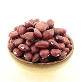 Wholesale Price  High Quality 1 Ton Organic Small Red Kidney Beans in Bulk Nice Price