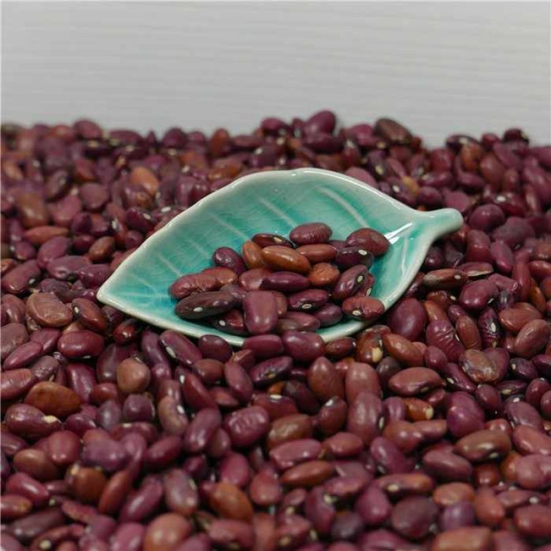Wholesale Price  High Quality 1 Ton Organic Small Red Kidney Beans in Bulk Nice Price
