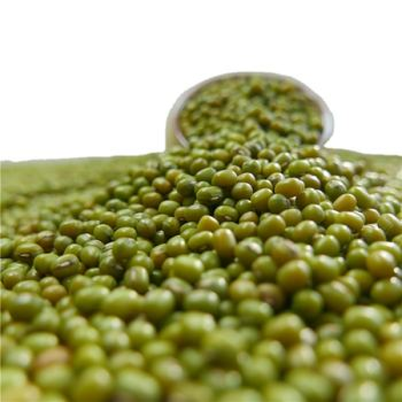 Wholesale 100% Natural Green Mung Beans Vigna Beans Dried Products From China Buyers in Bulk Packaging