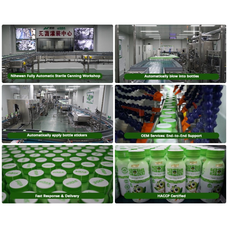 Cereal Milk Manufacturer Beauty Skin Slimming  Food Meal Replacement Beverage Yogurt Low Fat  Green Mung Bean Probiotics Drinks