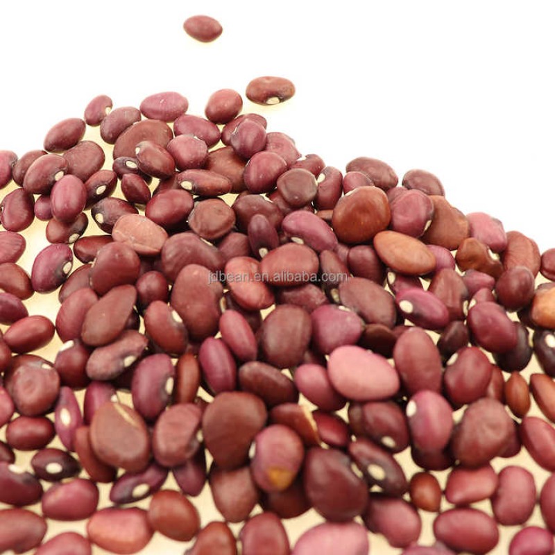 Wholesale Price  High Quality 1 Ton Organic Small Red Kidney Beans in Bulk Nice Price