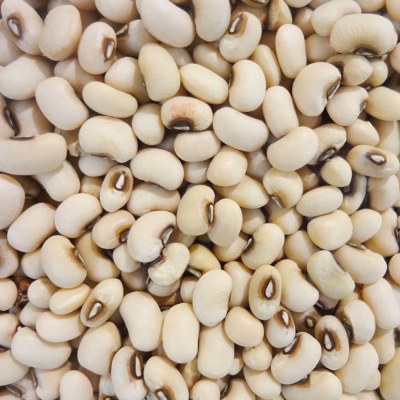 Hot Selling Organic Dried Cowpeas Vigna Beans and Kidney Beans in Bulk Packaging for Sale Black and White Eyed Beans