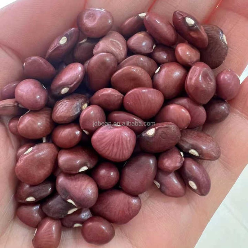 Wholesale Price  High Quality 1 Ton Organic Small Red Kidney Beans in Bulk Nice Price