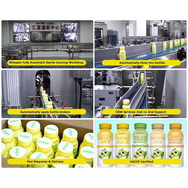 Wholesale Best Price Healthy 240ml PET Bottle Natural Vegetable Juice Drinks Protein-rich Corn Juice