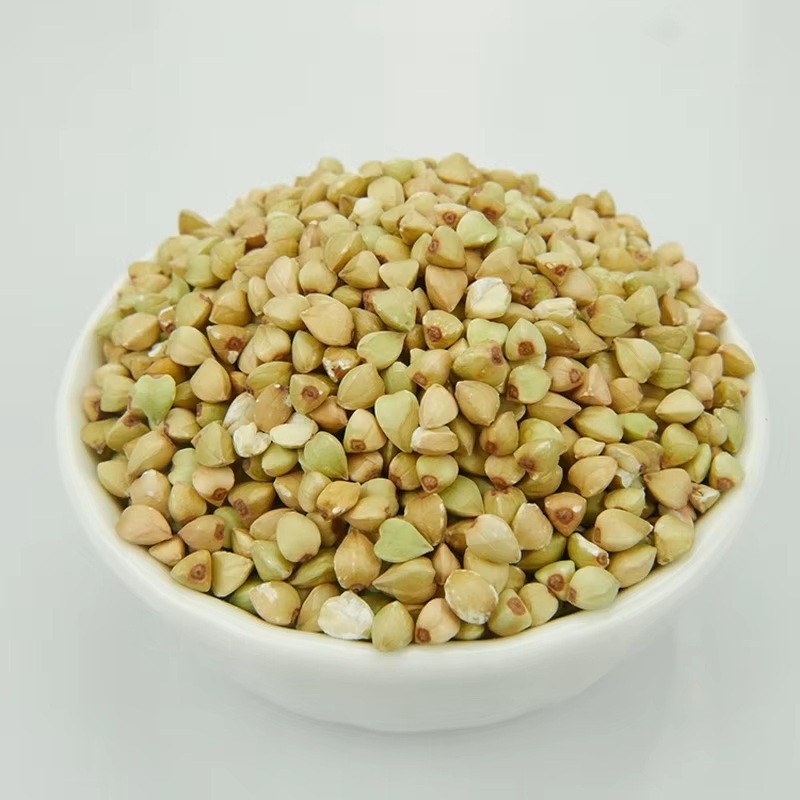Bulk Packaged Buckwheat Extract Top GMO-Free Food Grade Tartary Buckwheat Powder