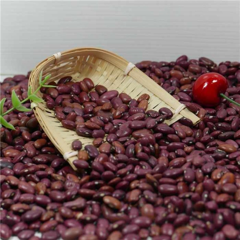 Wholesale Price  High Quality 1 Ton Organic Small Red Kidney Beans in Bulk Nice Price
