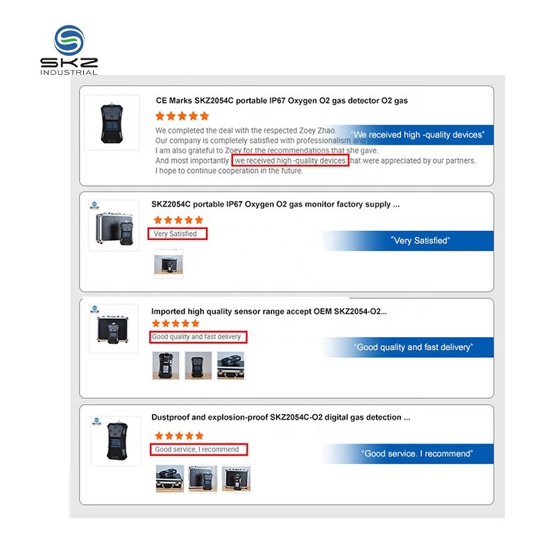 Gas Detector Factory - OEM/ODM Custom Atex Build in Pump Chlorine Gas Detector CL2 Gas Analyzer