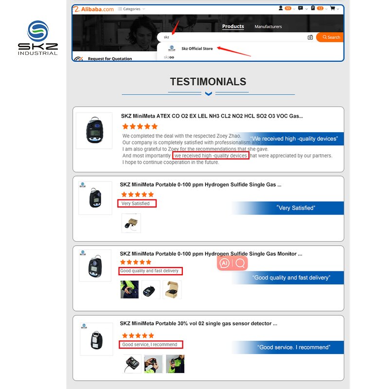 Gas Detector Manufacturer - OEM/ODM Custom Maintenance Free Carbon Monoxide CO Gas Detector Analyzer