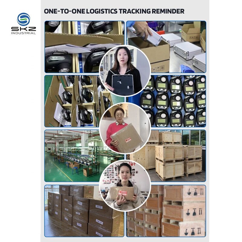 Gas Detector Manufacturer - OEM/ODM Custom Maintenance Free Carbon Monoxide CO Gas Detector Analyzer