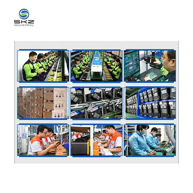 Gas Detector Factory - OEM/ODM Custom Atex Build in Pump Chlorine Gas Detector CL2 Gas Analyzer