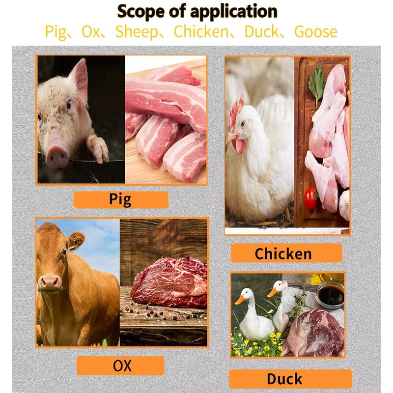 Moisture Analyzer Factory - OEM/ODM Custom Industrial Laboratory Meat Moisture Analyzer for Chicken Fish