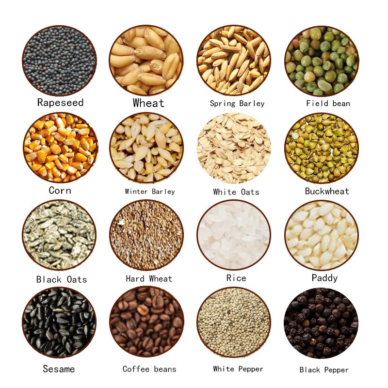 Moisture Meter Manufacturer - OEM/ODM Custom Grain Coffee Bean Moisture Analyzer Humidity Meter