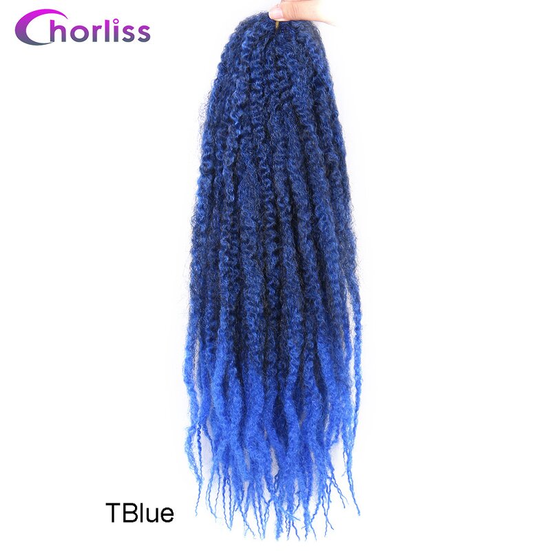 Synthetic Curly Hair Extension Manufacturer - OEM/ODM Custom Long Crochet Braid Synthetic Curly Hair