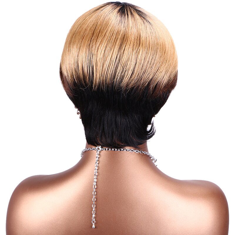 Brazilian Human Hair Wig Factory - OEM/ODM Custom Ombre Color Golden Straight Brazilian Human Hair Wig