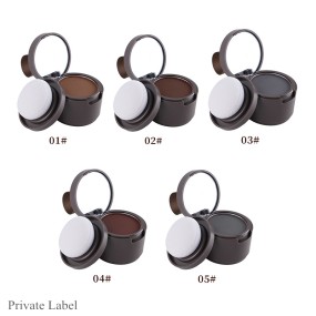 Multi Colors Concealer Hair Powder Hairline Powder Shadow Private Logo Hair Line Filling Shadow Powder