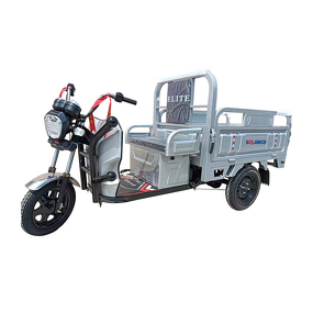 Electric Cargo Tricycle Factory - Hot Sale Heavy Load 3-Wheel Driving Room 60v CE Certified Motorized