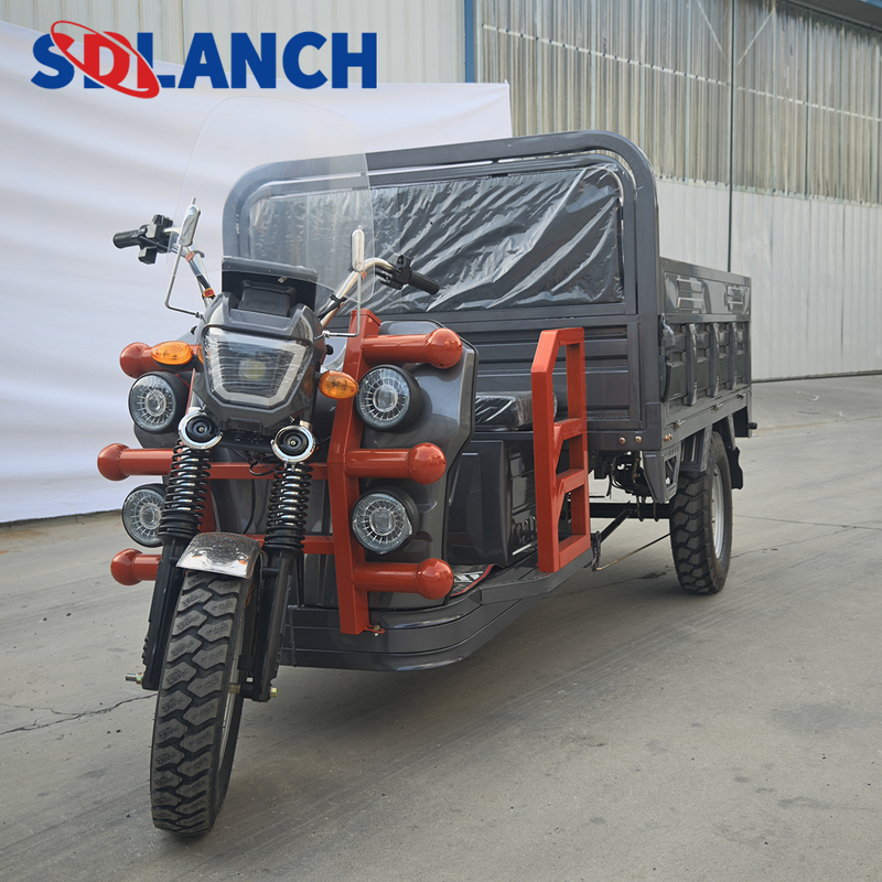 Electric Cargo Tricycle Factory - Direct Factory Production with 60v20ah Battery Remote Control Motorized
