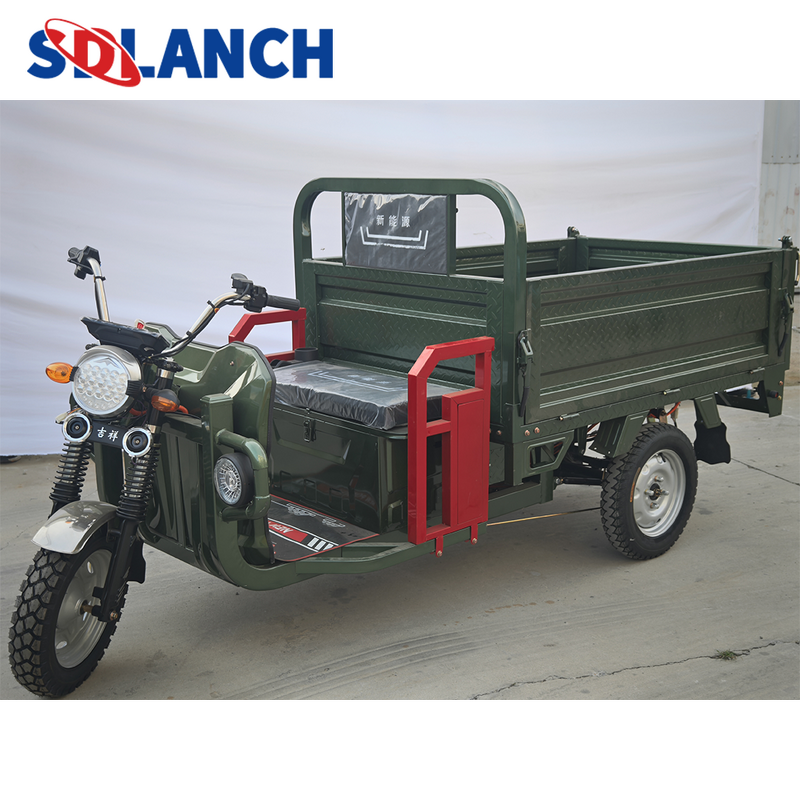 Electric Bicycle Manufacturer - New 3-Wheel High-Speed Old Electric Bike with Big Battery Open Body