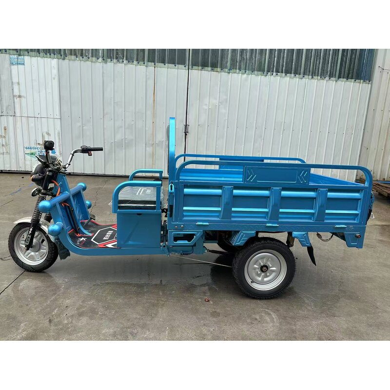 Electric Mini Rickshaw Factory - CE Certified New Style 3-Wheel Motorcycle Open Body 60v for Adult