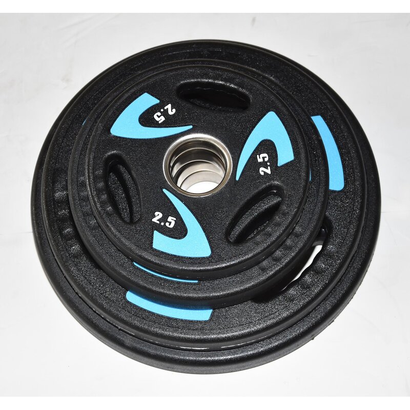 Weight Plates Manufacturer - Hot Sale High Quality CPU Weight Plates for Weight Lifting