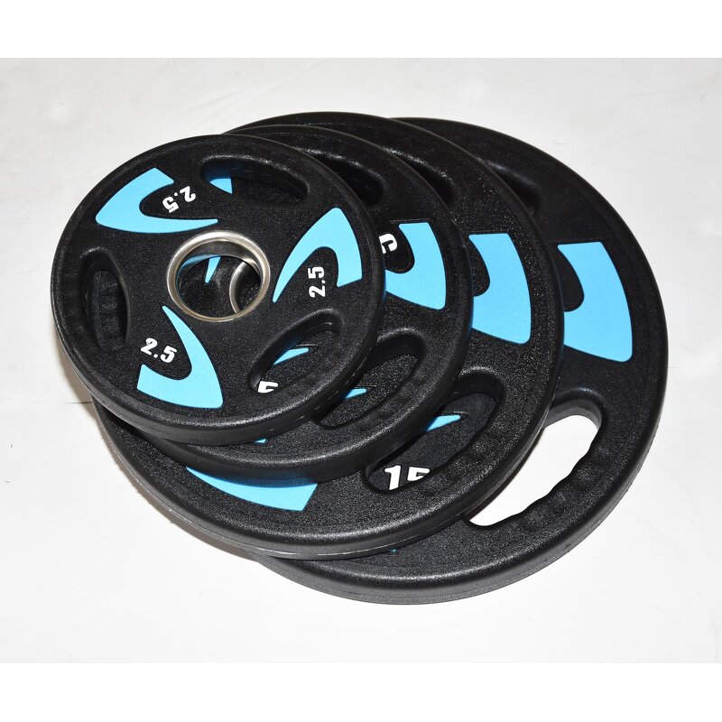 Weight Plates Manufacturer - Hot Sale High Quality CPU Weight Plates for Weight Lifting