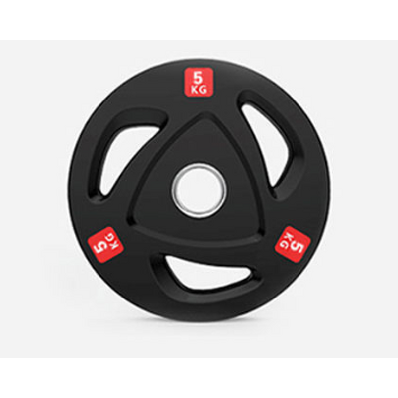 Rubber Weight Plates Factory - On Sale Gym Cast Iron with Grip Hole Weight Lifting