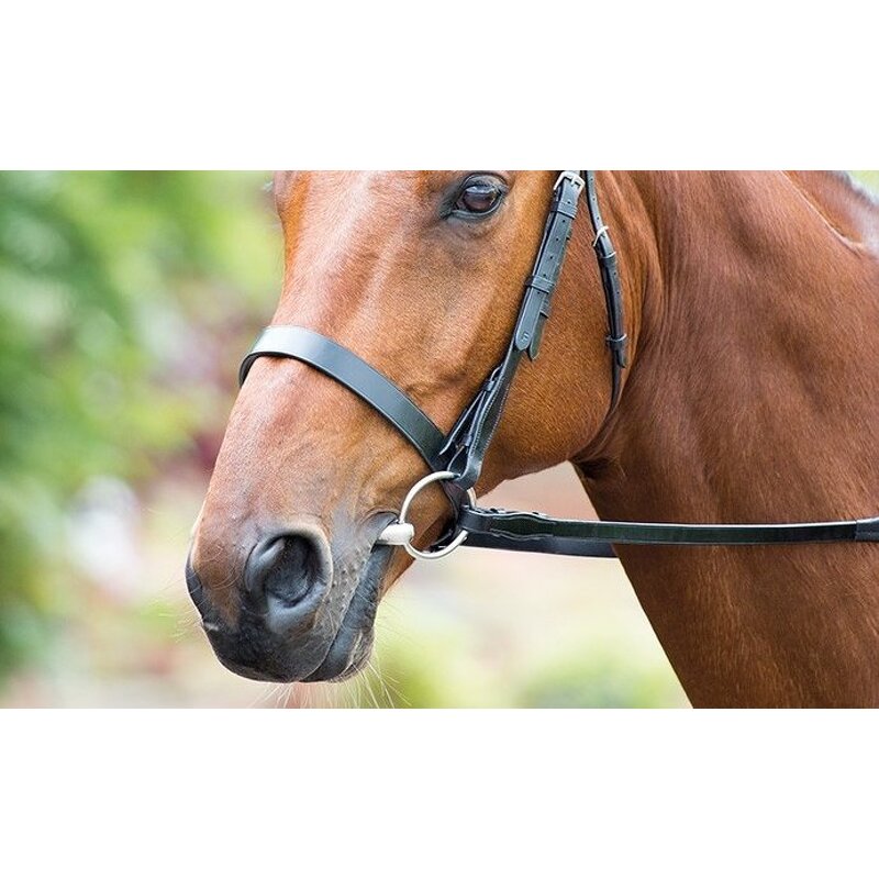 Horse Bits Manufacturer - New Design Jointed Bit Low Leverage Chewing Mouth Roller Stainless Steel