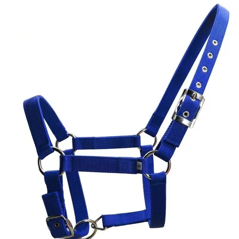 Horse Halters Manufacturer - High Quality Adjustable Durable Woven Polypropylene Multiple Colors