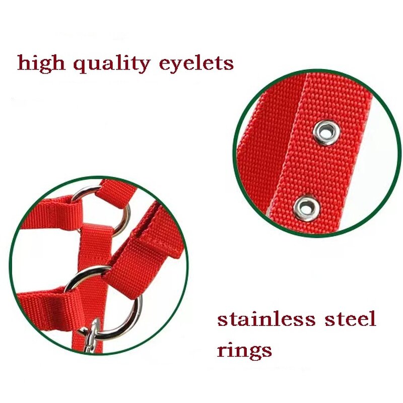 Horse Halters Manufacturer - High Quality Adjustable Durable Woven Polypropylene Multiple Colors