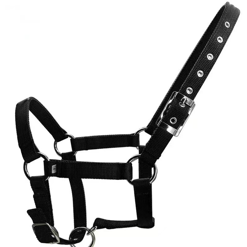 Horse Halters Manufacturer - High Quality Adjustable Durable Woven Polypropylene Multiple Colors