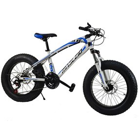 Snow Bike Factory - Chinese Factory New Design 20 Inch 7 Speed Snow Mobile Bike