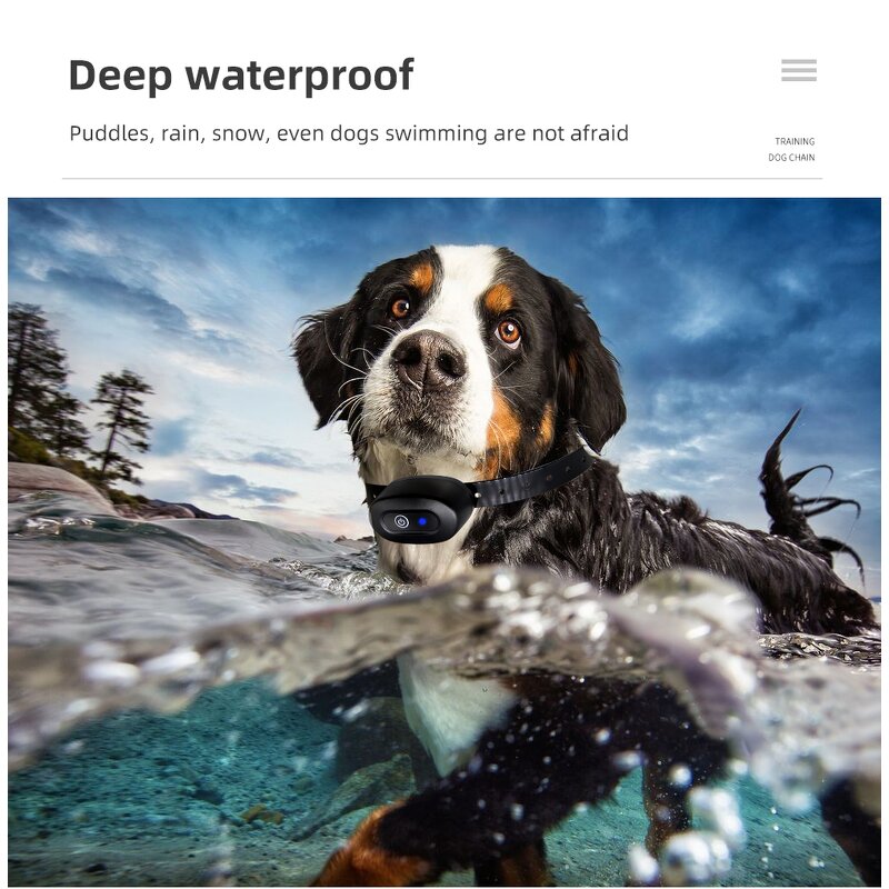 Remote Control Dog Training Collar Factory - OEM/ODM Custom T-600 800m Electric Training Dog Waterproof Pet Remote Control