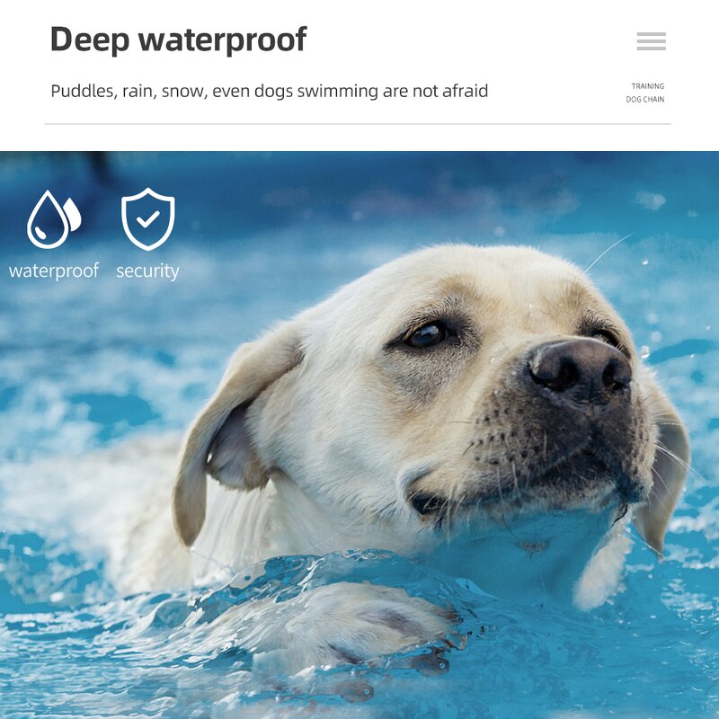 Dog Training Collar Manufacturer - OEM/ODM Custom 998DR Dog Training Collar 300m Waterproof Rechargeable Remote Electric