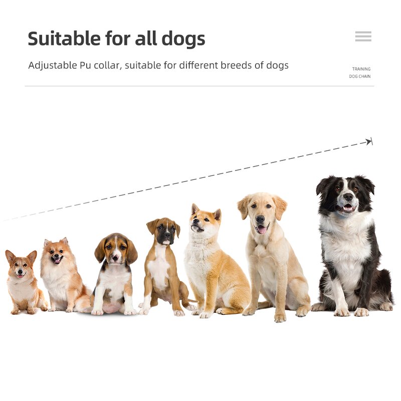 Rechargeable Dog Training Collar Factory - OEM/ODM Custom Rechargeable Dog Training Collar Pet Training Device Waterproof