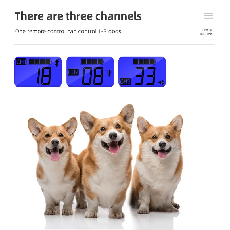 Rechargeable Dog Training Collar Factory - OEM/ODM Custom Rechargeable Dog Training Collar Pet Training Device Waterproof