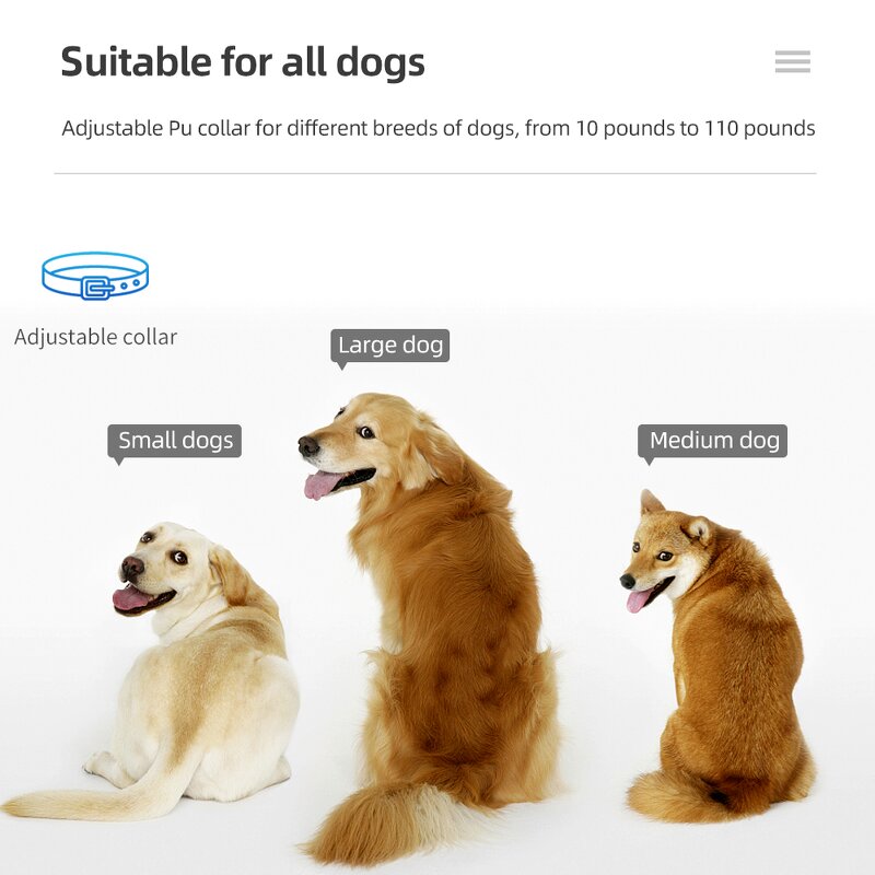 Dog Training Collar Manufacturer - OEM/ODM Custom 998DR Dog Training Collar 300m Waterproof Rechargeable Remote Electric