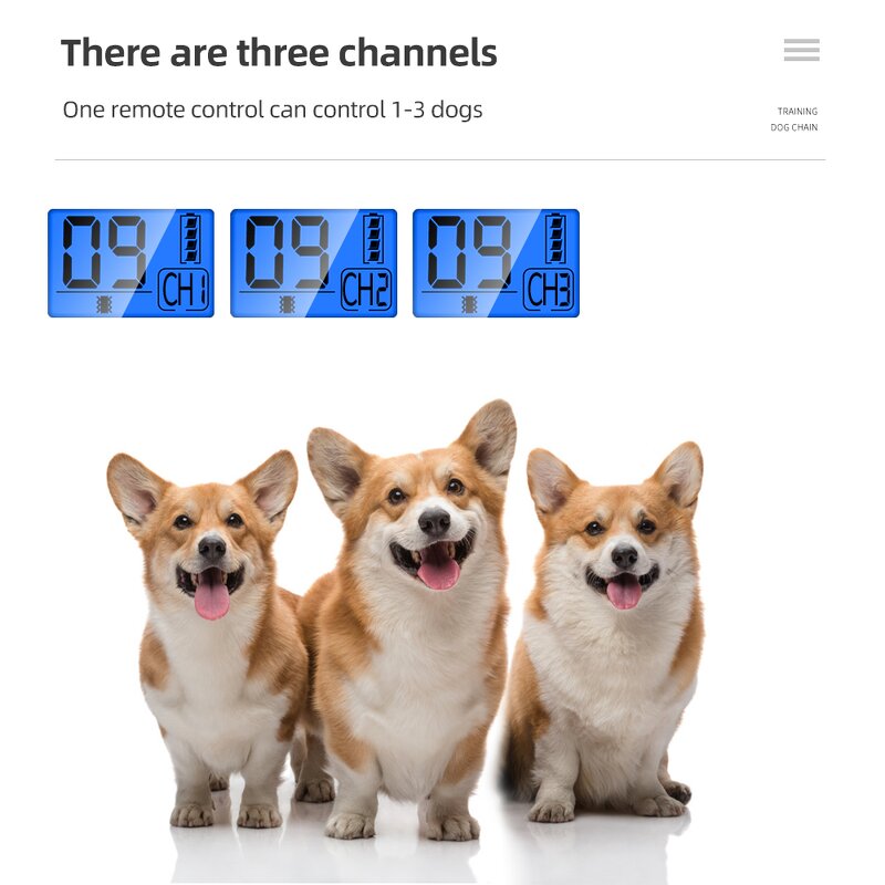 Dog Training Collar Manufacturer - OEM/ODM Custom 1000m Portable Waterproof Rechargeable Training Dog Remote Control Collar