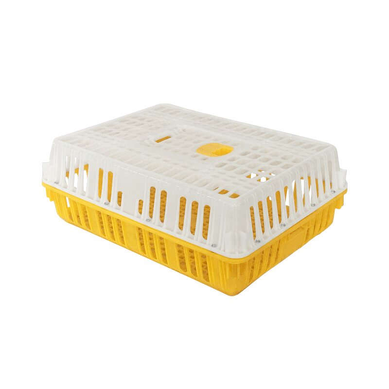 Chicken Transport Cage Manufacturer - OEM/ODM Custom Solid Style Chicken Transport Cage and Poultry Crate for Farm