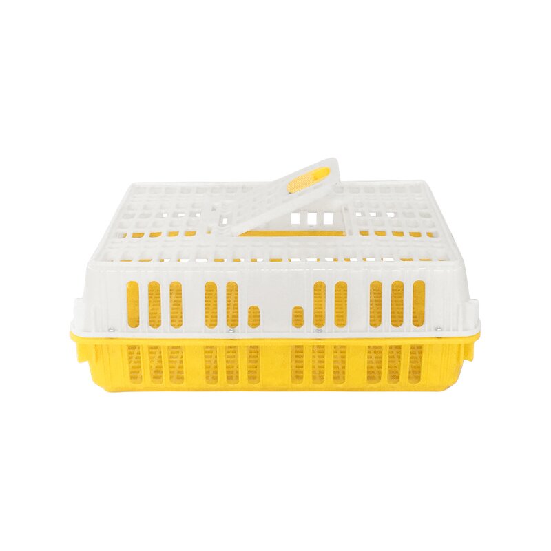 Chicken Transport Cage Manufacturer - OEM/ODM Custom Solid Style Chicken Transport Cage and Poultry Crate for Farm