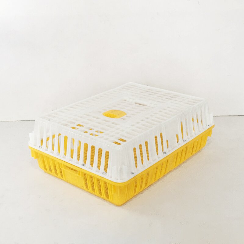 Chicken Transport Cage Manufacturer - OEM/ODM Custom Solid Style Chicken Transport Cage and Poultry Crate for Farm