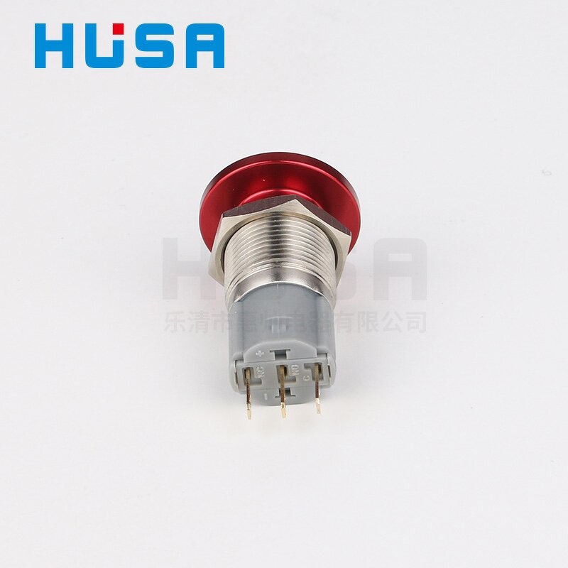 Stainless Steel Mushroom Head Switch Factory - OEM/ODM Custom 16mm Stainless Steel Red Mushroom Head Switch 12-24V 1NO1NC