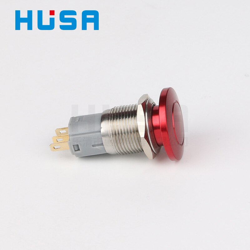 Stainless Steel Mushroom Head Switch Factory - OEM/ODM Custom 16mm Stainless Steel Red Mushroom Head Switch 12-24V 1NO1NC