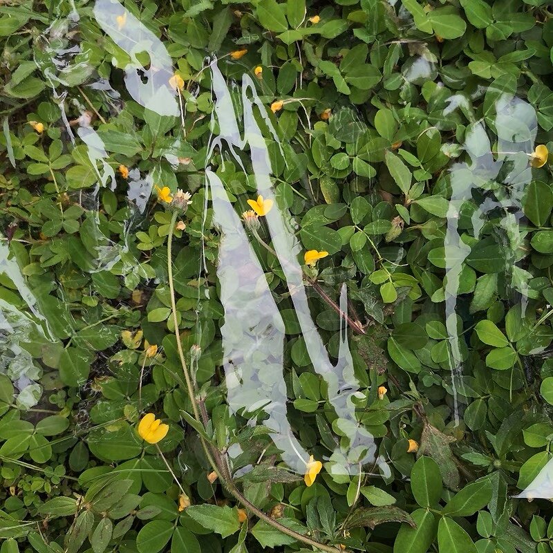 Transparent PVC Film Tarpaulin Manufacturer - OEM/ODM Custom Wholesale Special Material Tarpaulin Waterproof Tear Resistant PVC Film